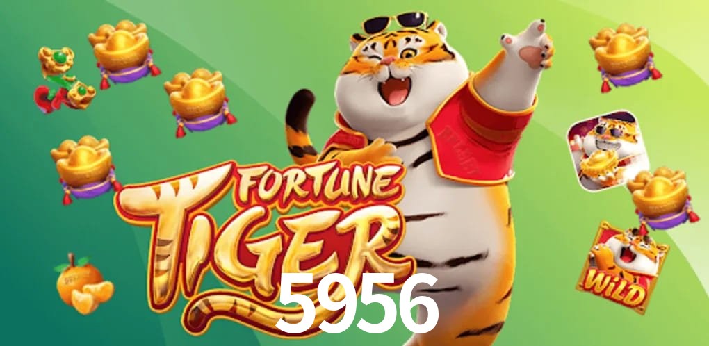 Football Betting 5956
